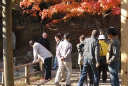 霞ヶ城公園内